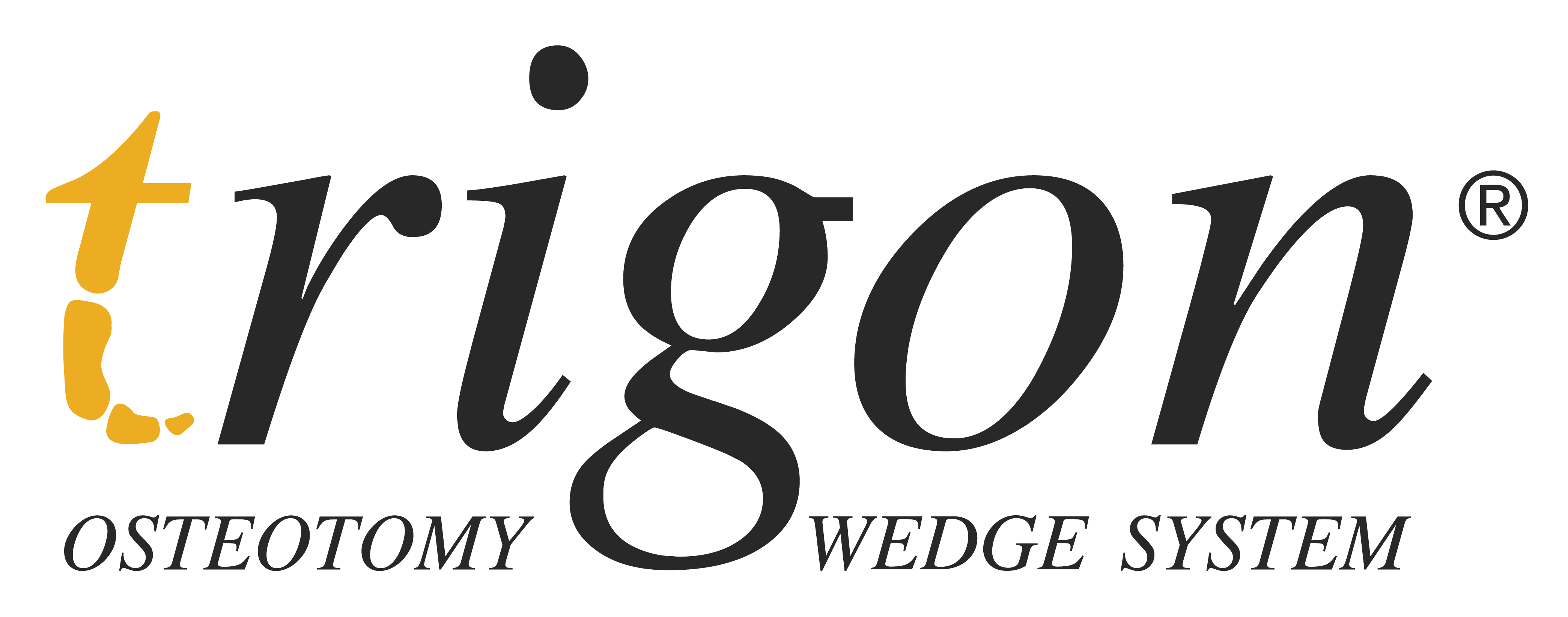 Trigon Nvision Biomedical Technologies